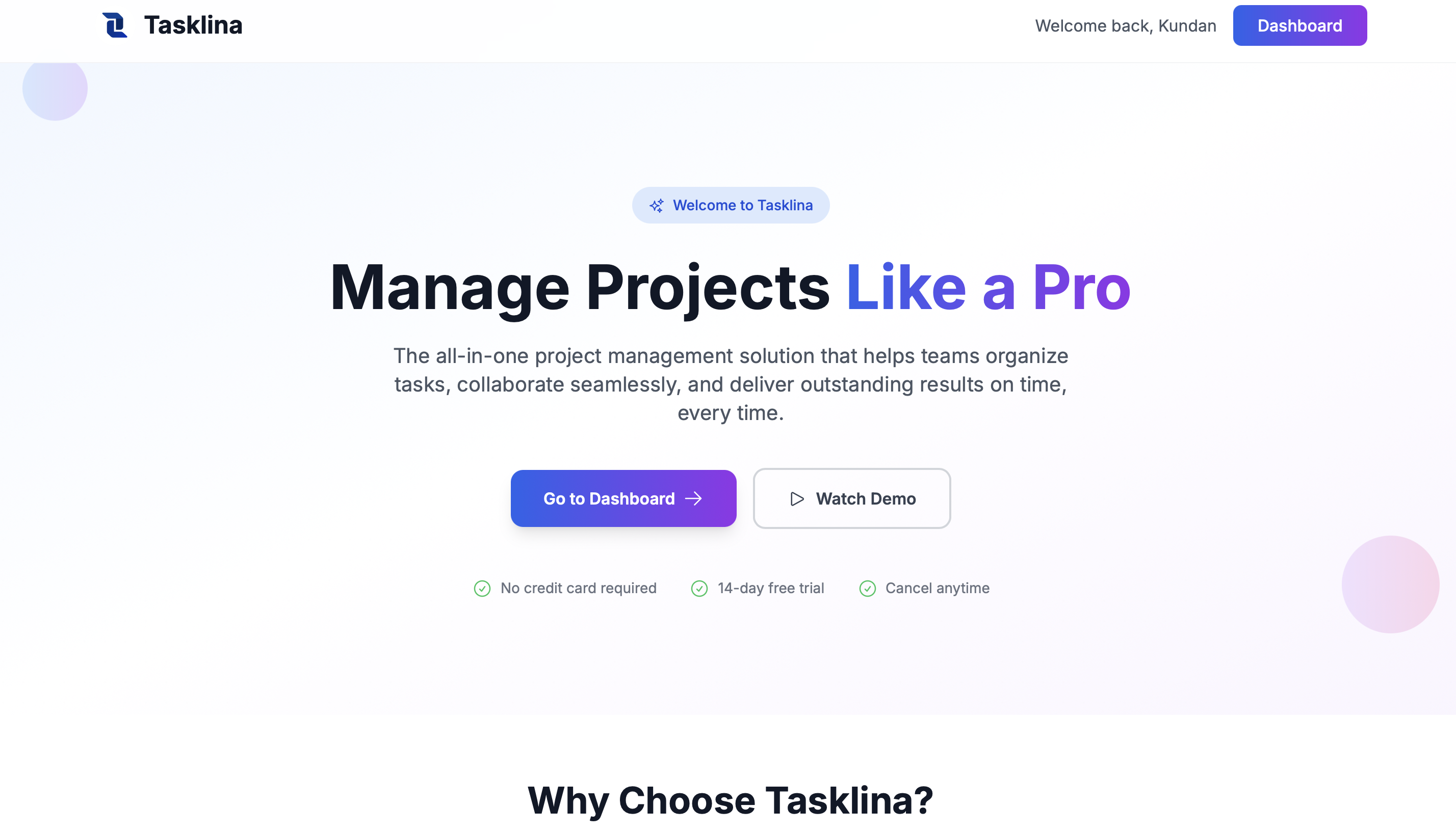 Tasklina Preview